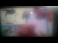 Elmo World Bug Song