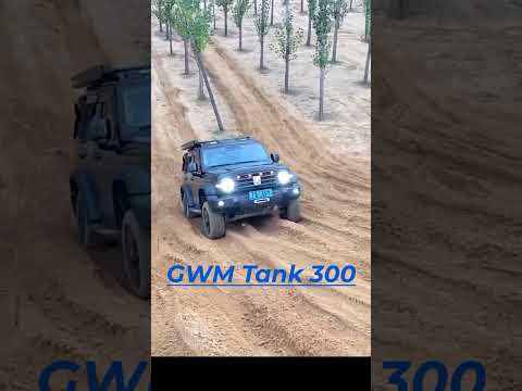 Lexus LX570 vs Tank 300 PK Off-road #shorts #offroad #lexus
