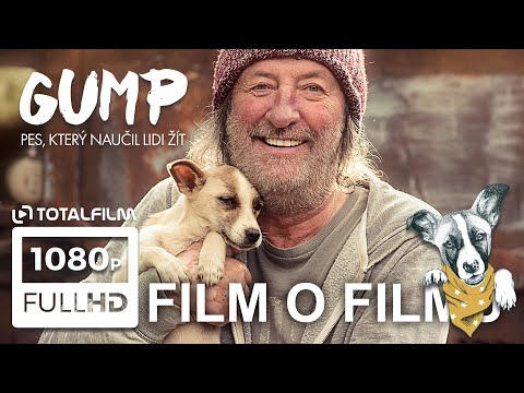 Gump - pes, který naučil lidi žít (2021) video z natáčení