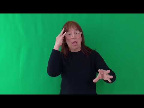 WhatsApp Video 2025 06 01 at 8 56 07 AM