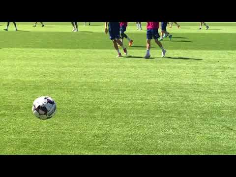 Rautenperle.tv: HSV-Training am Donnerstag d. 28.6.2018