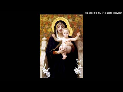 Ave Maria // (Michał Lorenc)