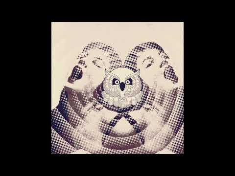 Sara Zinger - Pearl (no_ip Remix) [La Dame Noir Records]