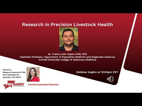 Boots in the Barn: Research in Precision Livestock Health