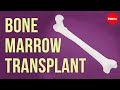 How Bones Make Blood Melody Smith