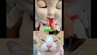 Brother is angry #cat #meme #funny