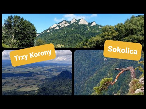 Trzy Korony - szlak od Szczawnicy przez Sokolice