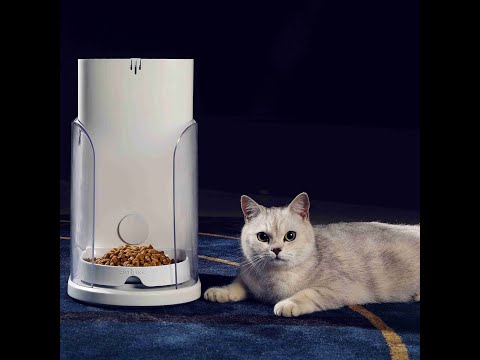 CatLink ONE AI Automatic Smart Feeder Bowl for Cats