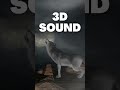 Wolf Howl 3d Sound Effect