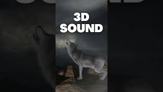 Download lagu Wolf Howl 3d sound effect mp3 Download lagu Wolf Howl 3d sound effect mp3