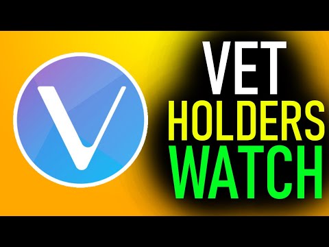 If You Hold VeChain You Should WATCH THIS VIDEO! – Vet Vechain Cryptocurrency