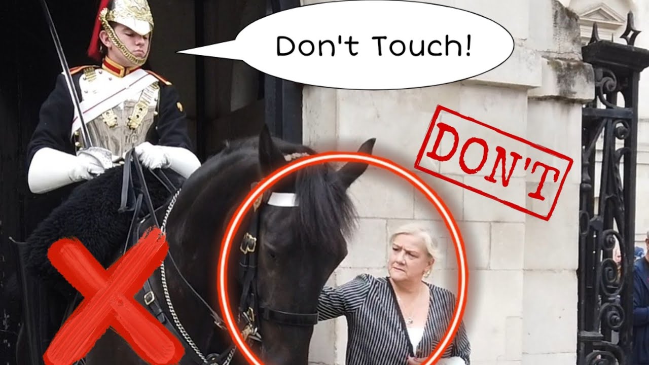 "Don't Touch"! She got Told Off by The King's Guard for touching  the Horse!