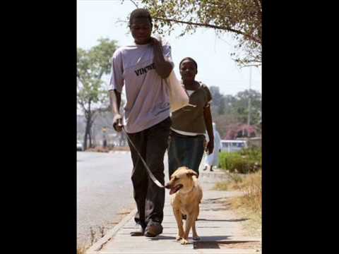 James Chimombe Tribute - Rwendo (SOG Mix).