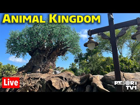 🔴Live: Whimsical Wednesday at Animal Kingdom - Walt Disney World Live Stream - 1-14-26