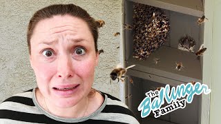 Our New House is Infested!