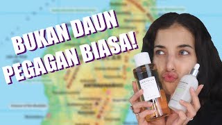 Download lagu KENAPA SKINCARE INI HEBOH BANGET ?!! Skin1004 review tuntas mp3