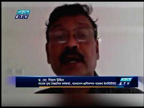 মুরগির দৈহিক বৃদ্ধি ও ডিমের উৎপাদন বাড়তে ব্লাড-মিল বড় ভূমিকা রাখছে