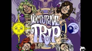 Nocturnal Trip - Lost in Space