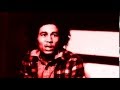 Bob Marley & The Wailers - You Can't Blame The Youth (Peel Session)