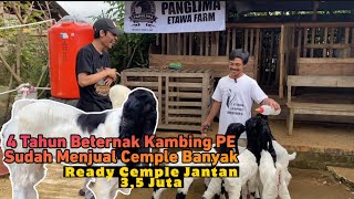 Download lagu Luar Biasa!! Pakde ini ternak Kambing PE Super Super mp3 Download lagu Luar Biasa!! Pakde ini ternak Kambing PE Super Super mp3