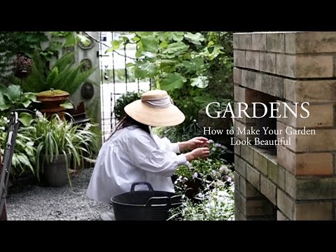 コーヒーかすを使用する 庭のトップ 3 の使用方法 ヒント ヒント