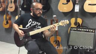 Video thumbnail for Quilter Aviator Gold 1x8 by Melhart Music Center