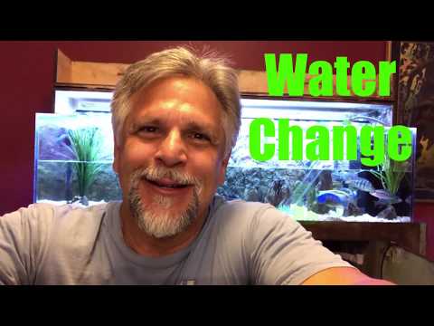 download lagu mp3 mp4 How Often Should You Clean Your Water Tank, download lagu How Often Should You Clean Your Water Tank gratis, unduh video klip How Often Should You Clean Your Water Tank
