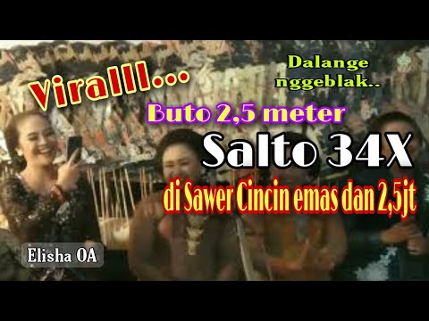 Viral Buto termahal salto 34x disawer cincin emas dan 2,5jt Penajam paser Bt Elisha OA#unik