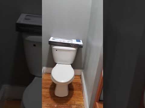 Beautifully modernized 5 bedroom, 1.5 bathrooms, 1st floor - Video 2 of 3