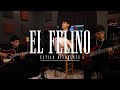 El Felino Estilo Diferente Video Oficial Novillando