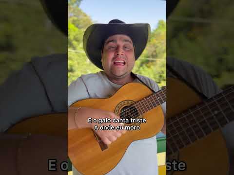 Coração Da Natureza - Ronaldo Viola e João…