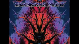 Psychosonic Misfit - The Beat - Triage