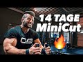 So STARK war ich NOCH NIE?! (Muskelaufbau im MiniCut?!)