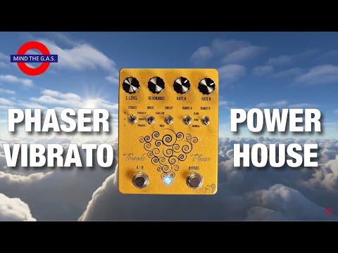 Drunk Beaver Tornado Phaser MK2 image 5