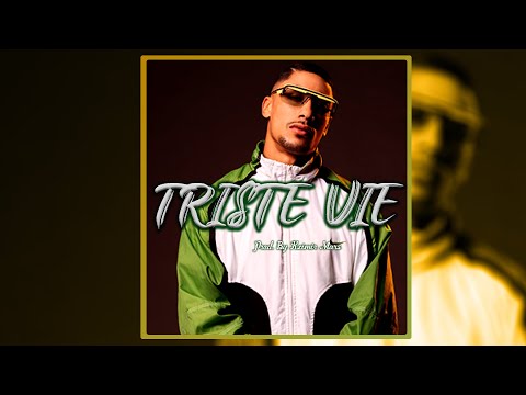 [FREE] Instru Landy x Ninho x Maes Type Beat x Booba "TRISTE VIE" Instru Rap Guitare 2021