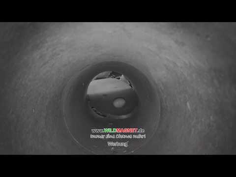 XXL Wippbrettfalle - Iltisfang mit Berners Brett