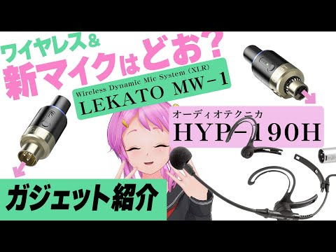 Google レンズが音声プロンプトによるビデオサポートを取得