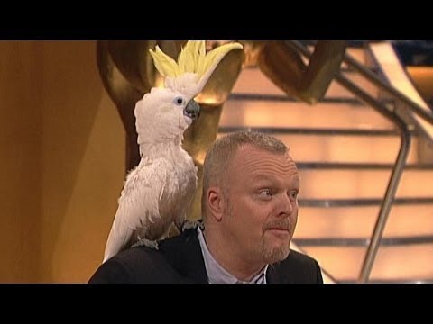 Wie von gribkow auf den Nägeln der Beine Videos entgehen wird Beim Kind otslaiwajutsja die Nägel auf den Händen als zu behandeln