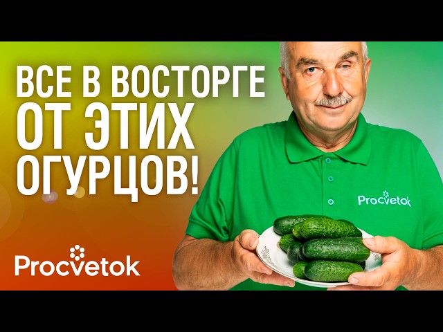 ЕСЛИ БЫ МОЖНО БЫЛО ПОСАДИТЬ ТОЛЬКО 3 ОГУРЦА, то я бы выбрал ЭТИ СОРТА!