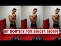 How To Build Bigger Biceps | My Routine | Alex Fernandez