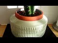 WOW THATS A MEAN CACTUS