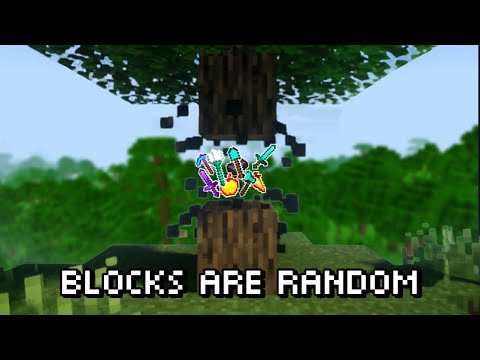 Insane Minecraft: RANDOMIZED BLOCKS Challenge! 😱