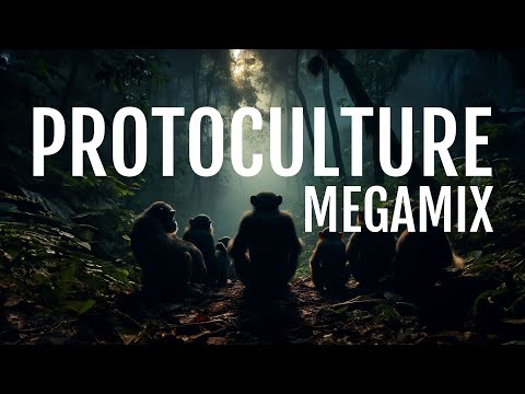 Protoculture Megamix (Full Version)