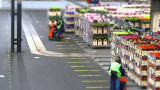 preview picture of video 'FloraHolland Flower Auction, Aalsmeer Netherlands'