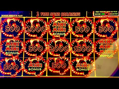 PLAYED THE TWO HOTTEST PHOENIX LINK SLOTS #slotman #casino #slotmachine #phoenixlink 