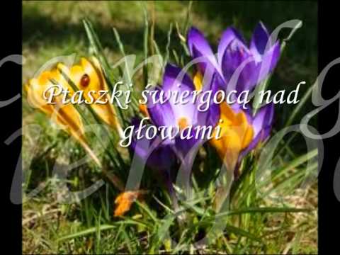 Pani Wiosna.wmv