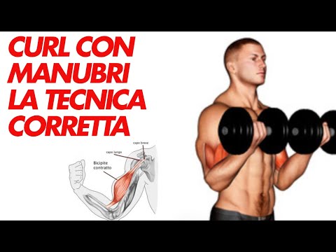 Curl con manubri alternato