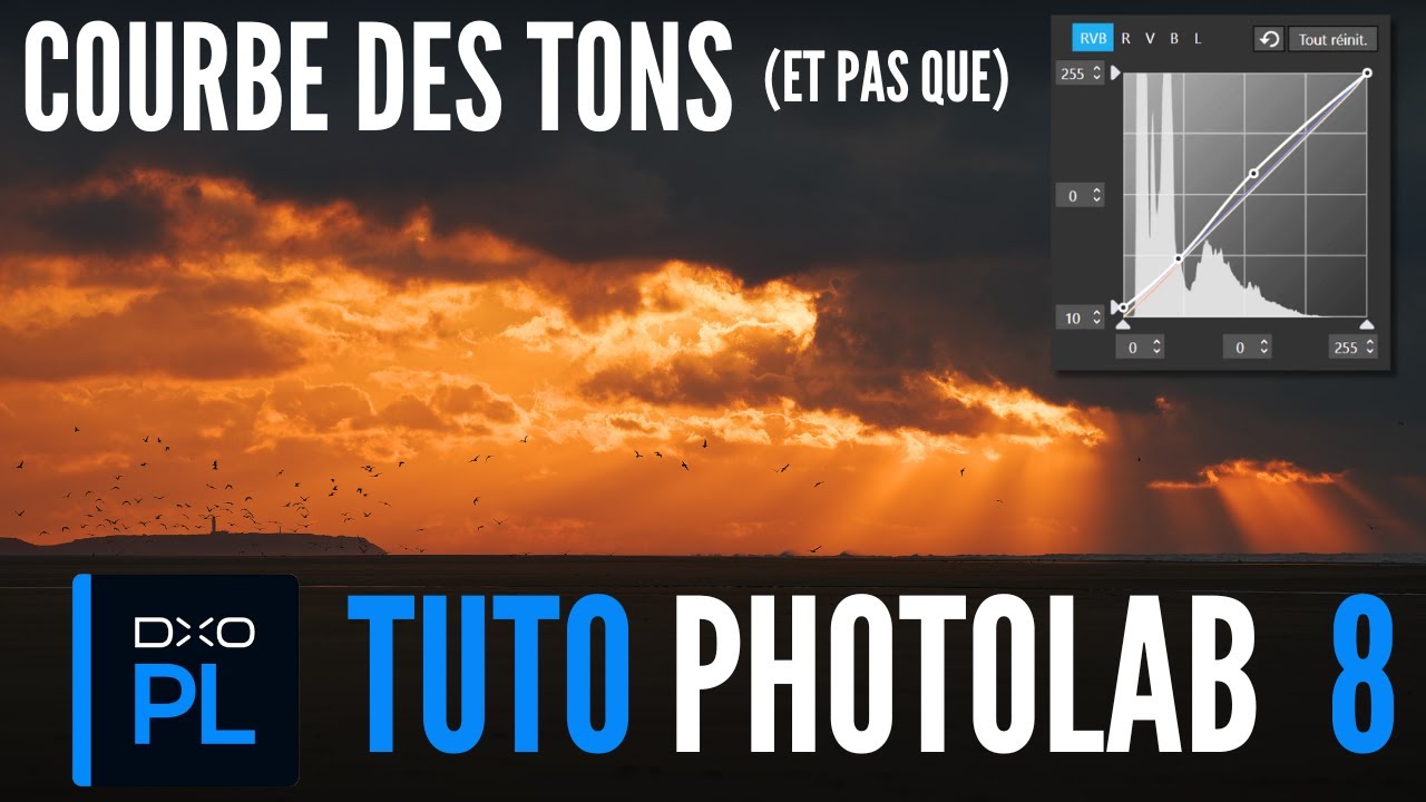 TUTO DxO Photolab 8 : maîtrisez la courbe des tons (et pas que !)