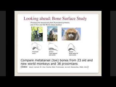 SEMINAR GEOTOP - A Joel Hass- August 23, 2019