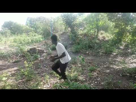 20 de janeiro de 2025